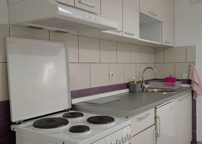 Smestaj Golubica 1 דירה סוקו בניה